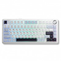 Bàn phím cơ Aula 3 MODE F75 Xanh + trắng + tím đậm Reaper switch
