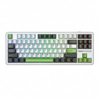 Bàn phím cơ Aula 3 MODE F87 Đen Trắng Xanh Lá Grey Wood V4 switch (Bluetooth/Wireless/ LED RGB)