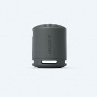 Loa không dây Sony SRS-XB100/BCE - Màu đen