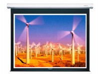 Màn chiếu điện Dalite P96ES (136Inch/ 2m44 x 2m44)