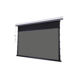 Màn chiếu điện Dalite Tab-Tension T120S (120Inch/ 2m66 x 1m49)