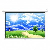 Màn chiếu treo Dalite P80WS (113Inch/ 2m03 x 2m03)