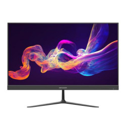 Màn hình Hikvision DS-D5024F2-BV2 (23.8Inch/ Full HD/ 7ms/ 100HZ/ 250cd/m2/ LED)