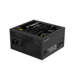 Nguồn máy tính Gigabyte GP-P750GM (750W/ 80 Plus Gold/ Full-Modular/ Đen)