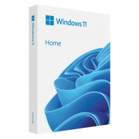 Phần mềm Microsoft Windows Home 11 64Bit USB HAJ-00090
