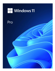 Phần mềm Microsoft Windows Pro 11 64Bit USB FPP/HAV-00163