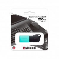 USB Kingston DTXM 256Gb USB3.2 Gen1